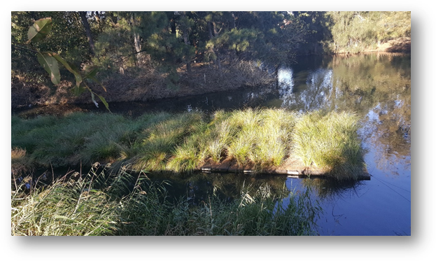 Floating treatment wetlands