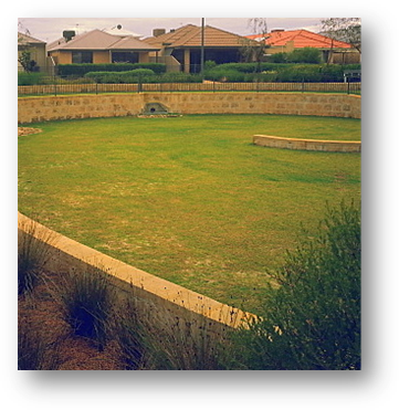 A typical infiltration/detention basin on the Swan Coastal Plain