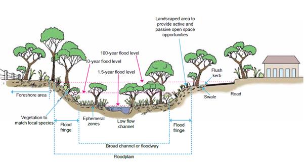 Typical cross-section of a living stream