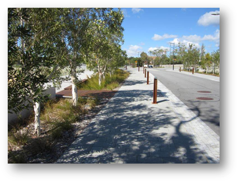 Vegetated swale in the City of Subiaco